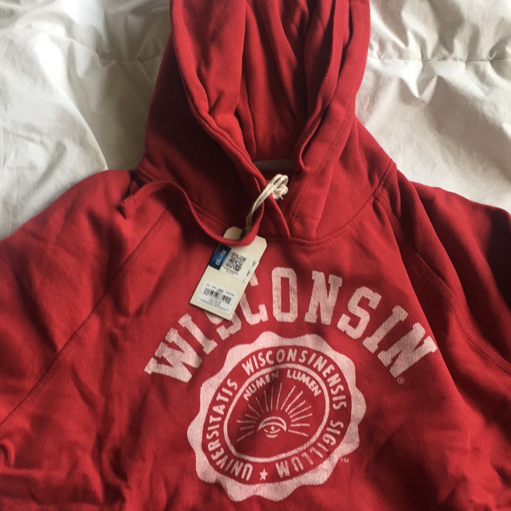 Wisconsin hoodie